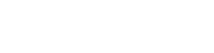 SLV logo