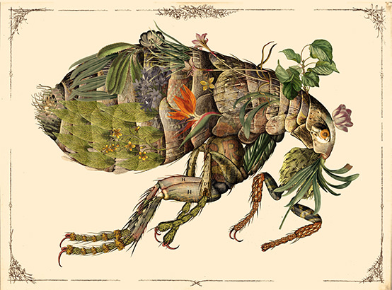 A flea composed of plants and flowers