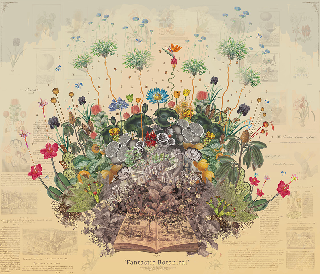 Collage of flowers