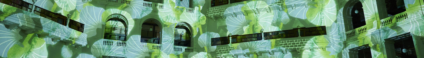 A spacious room with lush green plants projected on the ceiling.