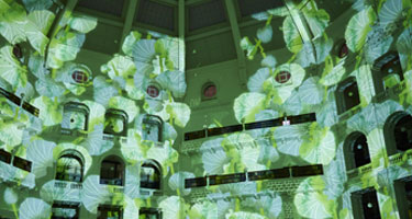 A spacious room with lush green plants projected on the ceiling.