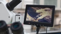 Colour photo of microscope screen used to view artworks in detail for conservation purposes