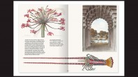 black background with double page spread with text and images including crustacean and flowers