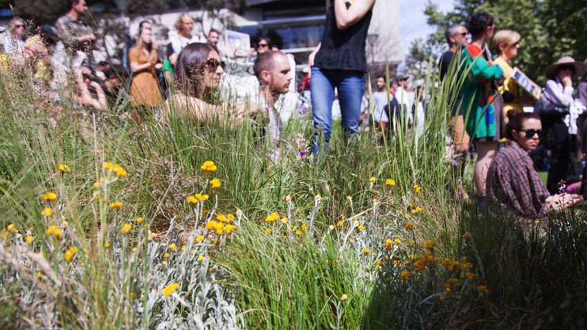 Linda Tegg in the 2014 photo 'Grasslands' by Matthew Stanton