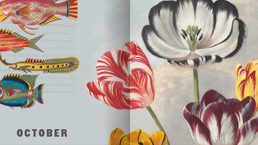 diary page with flowers and fish against a blue background for October