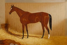 1889 painting of Carbine, by Frederick Woodhouse Jnr