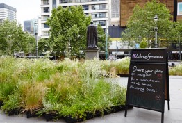 Photo of the library forecourt being used for Grasslands. 