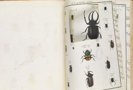 book with illustrations of bugs, some removed