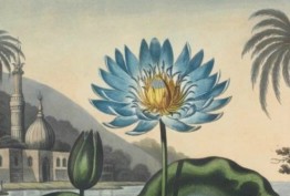 detail of ancient Egyptian scene with minaret, temple, palm trees and blue lotus flower