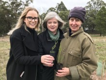Tree planting