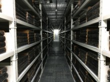Books stored at Ballarat offsite store. Image: Matthew van Hasselt