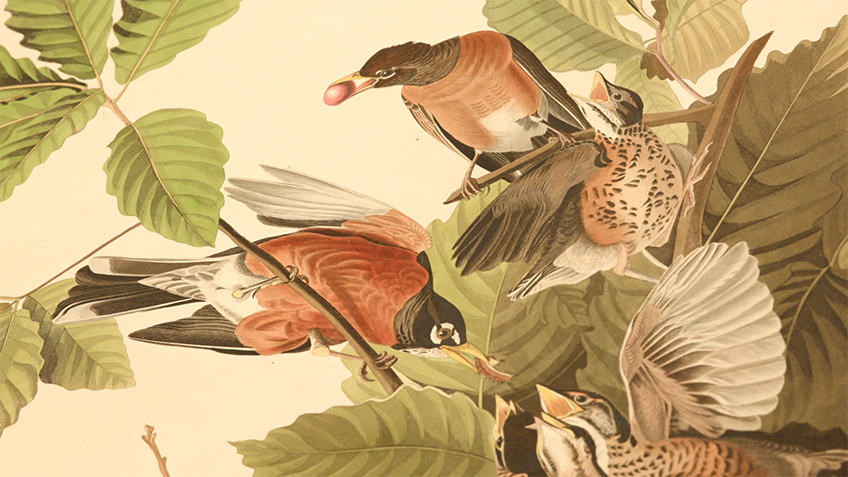 Lifelike painting of birds among foliage