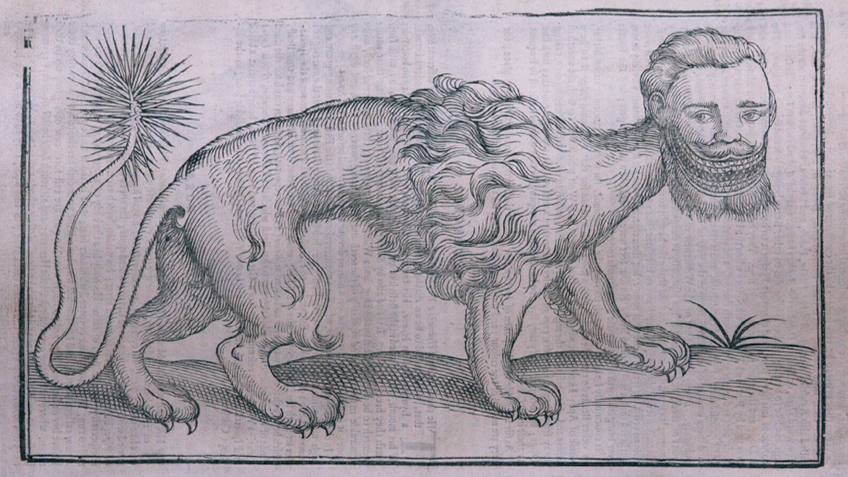 Historical drawing of a manticore